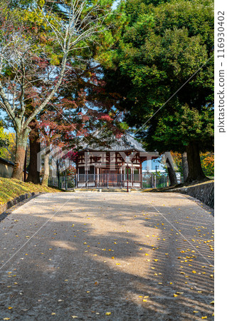 [Nara Prefecture] The northern round hall of Kofuku-ji Temple seen from the slope of the temple grounds 116930402