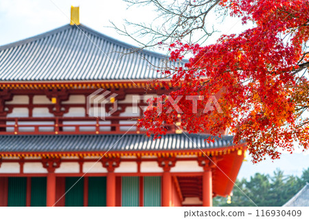 【奈良縣】透過秋葉從側面看興福寺的中金堂 【奈良縣】透過秋葉從側面看興福寺的中金堂 116930409