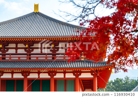 [Nara Prefecture] A side view of the Chukondo Hall of Kofukuji Temple through the autumn leaves 116930410