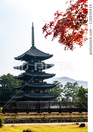 [Nara Prefecture] The five-story pagoda of Kofuku-ji Temple seen through autumn leaves 116930414