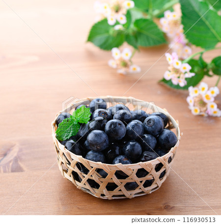 blueberry blueberry 116930513