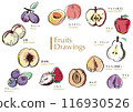 Fruit Drawing 116930526