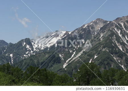 從櫂池自然公園眺望雄偉的白馬山脈 116930631