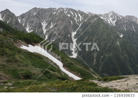 初夏時從八方尾根看到的殘雪和北阿爾卑斯山 116930633