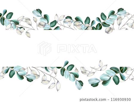 Seamless frame, border with eucalyptus, lunaria branches, dry plant. Watercolor hand drawn green plant isolated on transparent background. Christmas, winter, and wedding illustration. For designers, i Seamless frame, border with eucalyptus, lunaria branches, dry plant. Watercolor hand drawn green plant isolated on transparent background. Christmas, winter, and wedding illustration. For designers, i 116930930