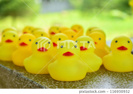 Toy duck 116930932