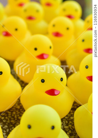 Toy duck 116930934