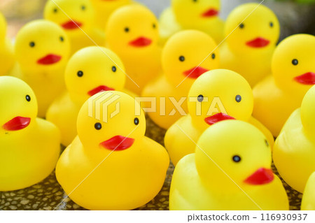 Toy duck 116930937