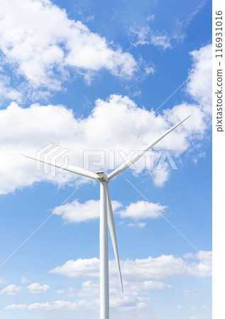 Wind turbines in the blue sky on a sunny day, produced electricity from pure energy. 116931016