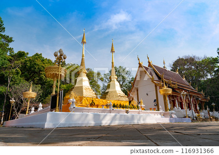 Wat Phra That Doi Tung Buddhist Temple and environment, a famous Temple and Buddhism place. It's settled on the mountain in Chiang Rai province, north of Thailand. 116931366