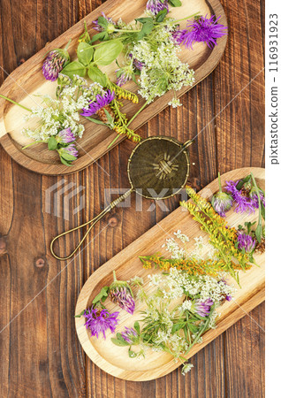 Healing herbs, herbal medicine. 116931923