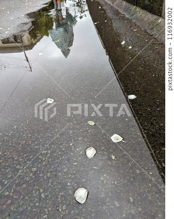 Walk on a rainy day 116932002