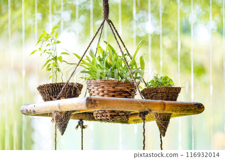 The little tree are planted in the wood wicker and lay down on the rope hanging with small line waterfall background behind. 116932014
