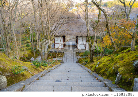 日本京都 — 2024年1月8日：日本京都右京區安靜森林中的一座佛教寺廟Jojakko-ji Temple 116932093