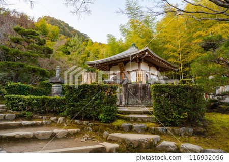 日本京都 — 2024年1月8日：日本京都右京區安靜森林中的一座佛教寺廟Jojakko-ji Temple 116932096