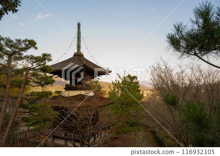 日本京都 — 2024年1月8日：日本京都右京區安靜森林中的一座佛教寺廟Jojakko-ji Temple 116932105