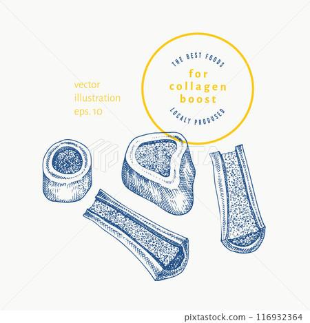 Vector Hand Drawn Marrow Bones Illustration. Collagen Diet Food Illustration. Vintage Style Marrow Bones Vector Hand Drawn Marrow Bones Illustration. Collagen Diet Food Illustration. Vintage Style Marrow Bones 116932364