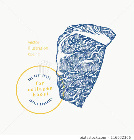 Vector Hand Drawn Meat Steak Illustration. Collagen Diet Food Illustration. Vintage Style Beef Steak Vector Hand Drawn Meat Steak Illustration. Collagen Diet Food Illustration. Vintage Style Beef Steak 116932366