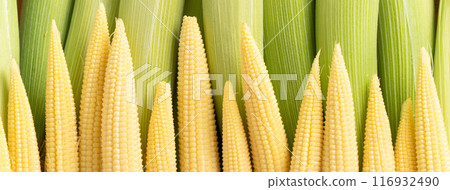 玉米尖 玉米筍 蔬菜 baby corn husk ベビーコーン ヤングコーン スイートコーン 116932490