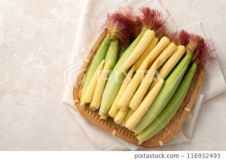 玉米尖 玉米筍 蔬菜 baby corn husk ベビーコーン ヤングコーン スイートコーン 116932493