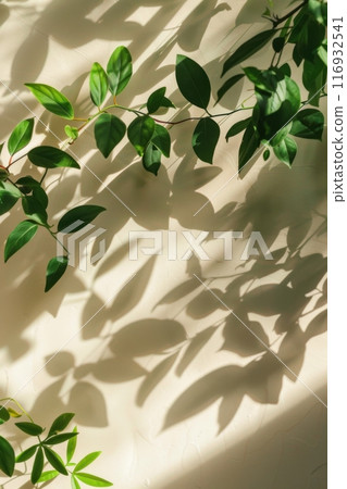 Green leaves casting intricate shadows on a soft cream wall in natural light. Generative AI 116932541