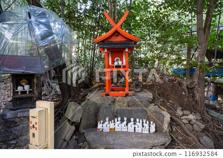 日本京都 - 2024年1月8日：日本京都野宮神社。京都府京都市西側嵐山地區的神社 116932584