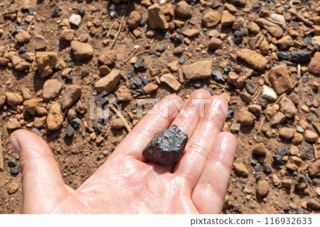 Close-Up Hand Holding Mineral Specimen Outdoors Close-Up Hand Holding Mineral Specimen Outdoors 116932633