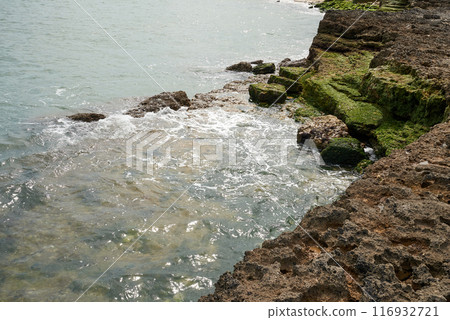 Coastline picture on charente maritime atlantic ocean Coastline picture on charente maritime atlantic ocean 116932721