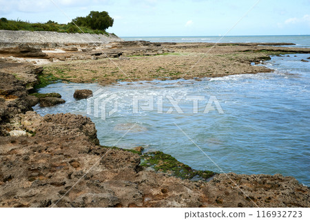 Coastline picture on charente maritime atlantic ocean Coastline picture on charente maritime atlantic ocean 116932723