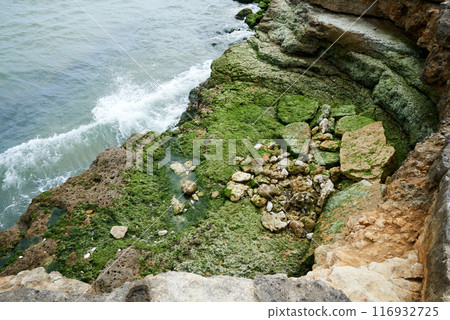 Coastline picture on charente maritime atlantic ocean Coastline picture on charente maritime atlantic ocean 116932725