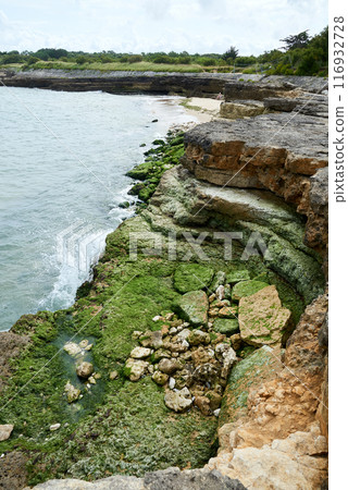 Coastline picture on charente maritime atlantic ocean Coastline picture on charente maritime atlantic ocean 116932728