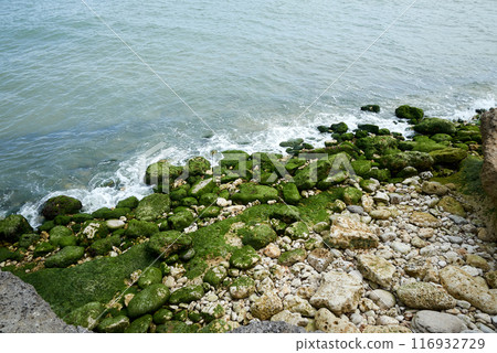 Coastline picture on charente maritime atlantic ocean Coastline picture on charente maritime atlantic ocean 116932729