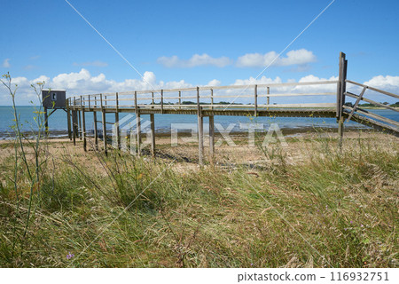 Square net fishing on stilts at the charente coast 116932751