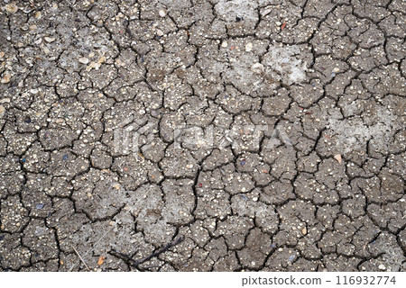 Mud soil cracked by drought view from above 116932774