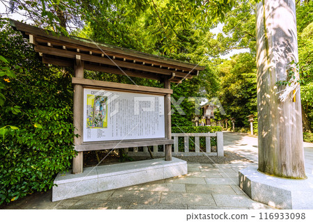 日本寒川市容、相模國一宮寒川神社、院內等所見 = 2020年7月21日 116933098