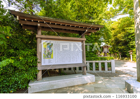 日本寒川市容、相模國一宮寒川神社、院內等所見 = 2020年7月21日 116933100