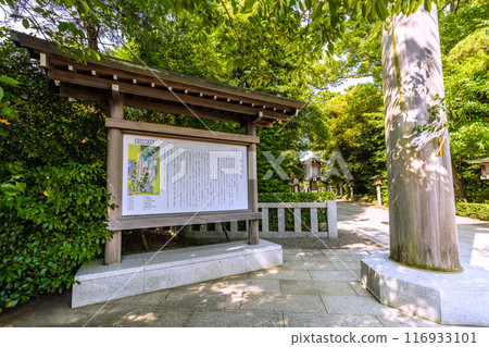 日本寒川市容、相模國一宮寒川神社、院內等所見 = 2020年7月21日 116933101