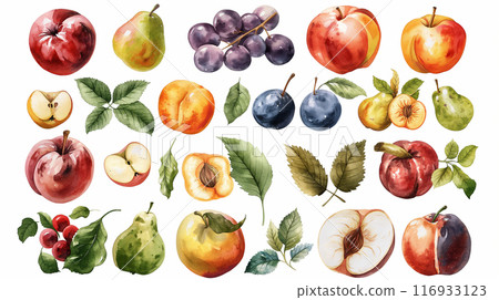 watercolor illustration of a set of different fruits watercolor illustration of a set of different fruits 116933123
