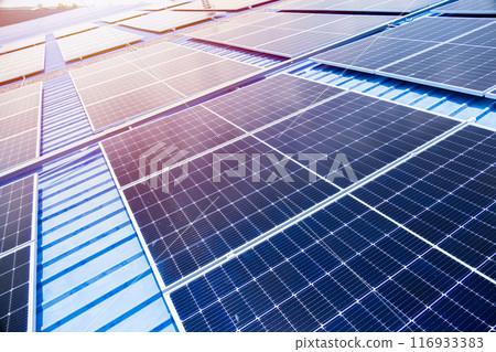 Large Photovoltaic panels on industry roof . Grid view of Solar panels or Solar cell in the factory roof house for saving energy background. 116933383