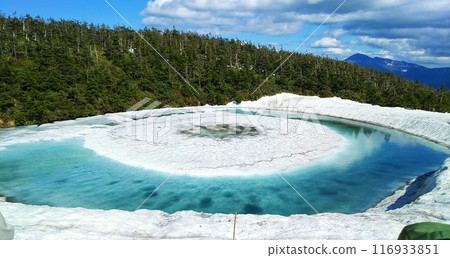 Dragon Eye 116933851