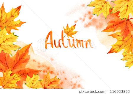 watercolor frame with autumn leaves and lettering Autumn, orange, yellow and red maple leaves, hand drawn illustration of autumn theme, sketch, for autumn posters 116933893