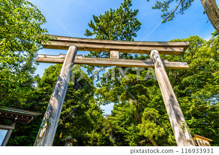 日本寒川市容 - 相模國一宮 寒川神社、鳥居、庭園等景色 = 2020 年 7 月 21 日 116933931