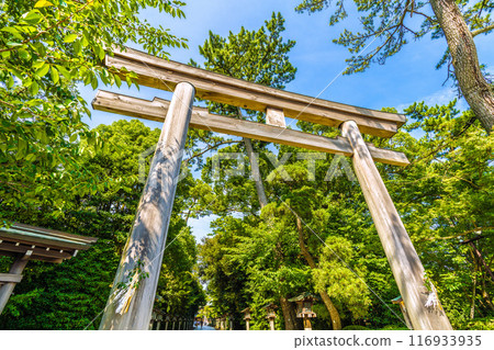 日本寒川市容 - 相模國一宮 寒川神社、鳥居、庭園等景色 = 2020 年 7 月 21 日 116933935