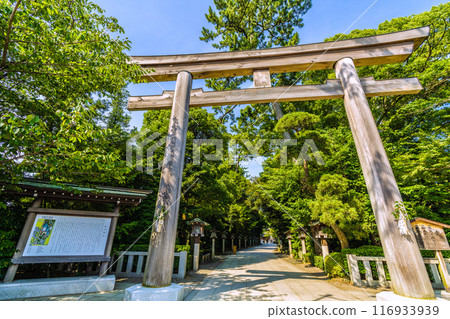 日本寒川市容 - 相模國一宮 寒川神社、鳥居、庭園等景色 = 2020 年 7 月 21 日 116933939