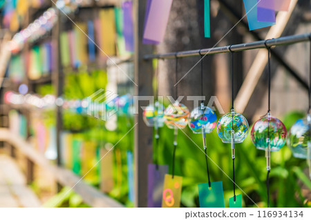 Summer at Hanroku Garden, decorated with wind chimes (Handa City, Aichi Prefecture) 116934134