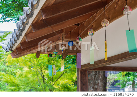 Summer at Hanroku Garden, decorated with wind chimes (Handa City, Aichi Prefecture) 116934170