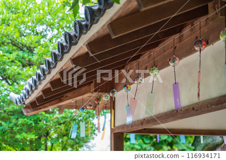 夏季半六庭園、風鈴裝飾（愛知縣半田市） 116934171