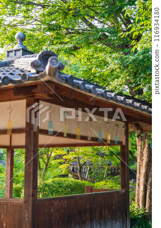 夏季半六庭園、風鈴裝飾（愛知縣半田市） 116934180