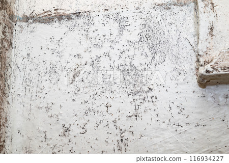 Big wet black mold and cracks a on the wall 116934227