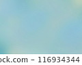 水彩般的模糊背景（綠色/淺藍色） 116934344